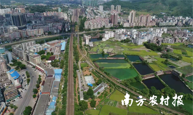 品质为王！鑫泉食品拟投入5000万元进行肉类产业转型升级，由初级农产品迈向高端品牌