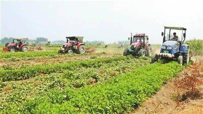 临泉县中小学教育现状与初级农产品资源整合的思考