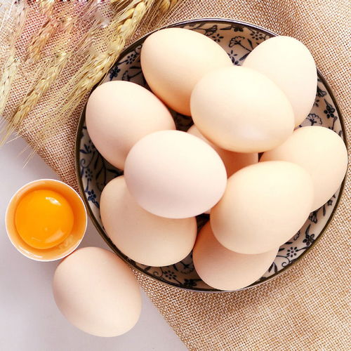 从田间到餐桌 初级农产品鸡蛋鸭蛋的有效推广策略