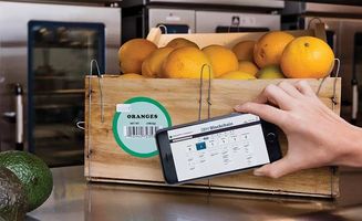 荷兰农业百年演进史 从初级农产品到全球农商典范